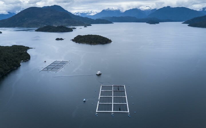 Salmonicultores disponibles a transparentar información pero piden objetividad a Sernapesca