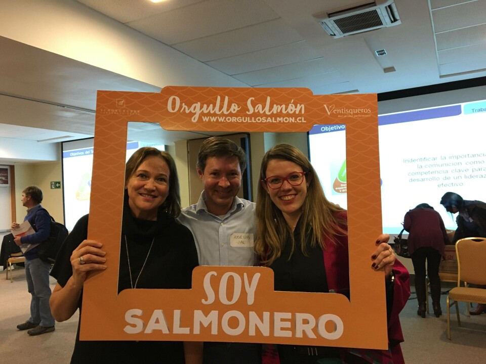 La campaña