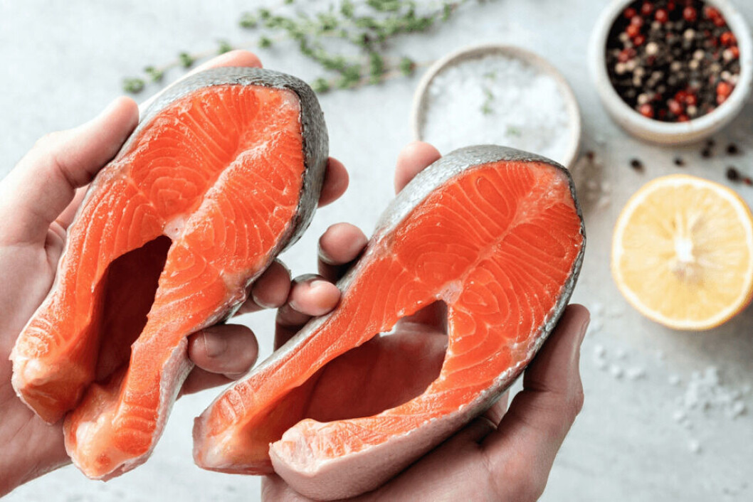 Salmón Silverside. Foto: BluGlacier. Salmón Silverside. Foto: BluGlacier.