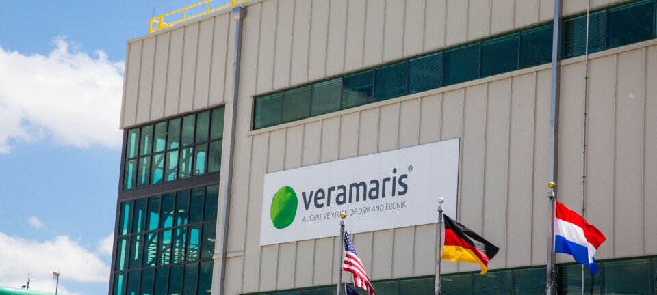 Productor de aceite de algas se expandió en 50%: 'Estamos aquí para quedarnos'