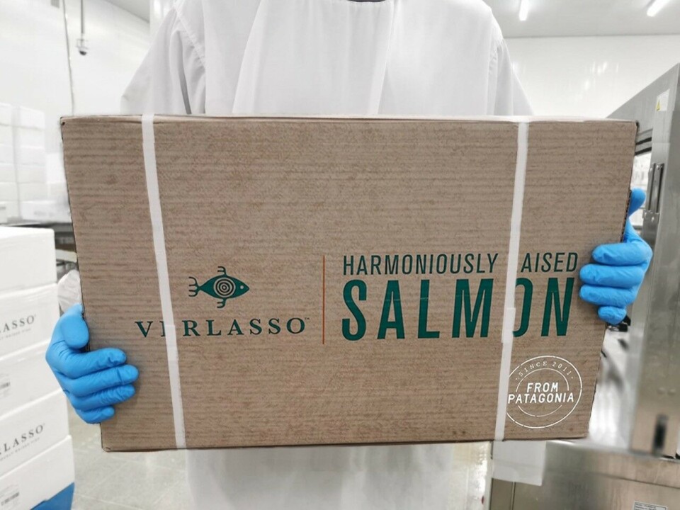 Desde enero de 2023 el total de las cajas de Verlasso serán de cartón reciclable. Foto: AquaChile.
