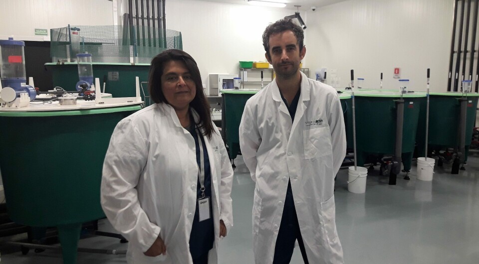 Dra. Claudia Venegas y Dr. Vicente castro. Foto: Loreto Appel, Salmonexpert.