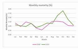 Salmón escocés tuvo tasa de supervivencia mensual de 98,6% en 2019