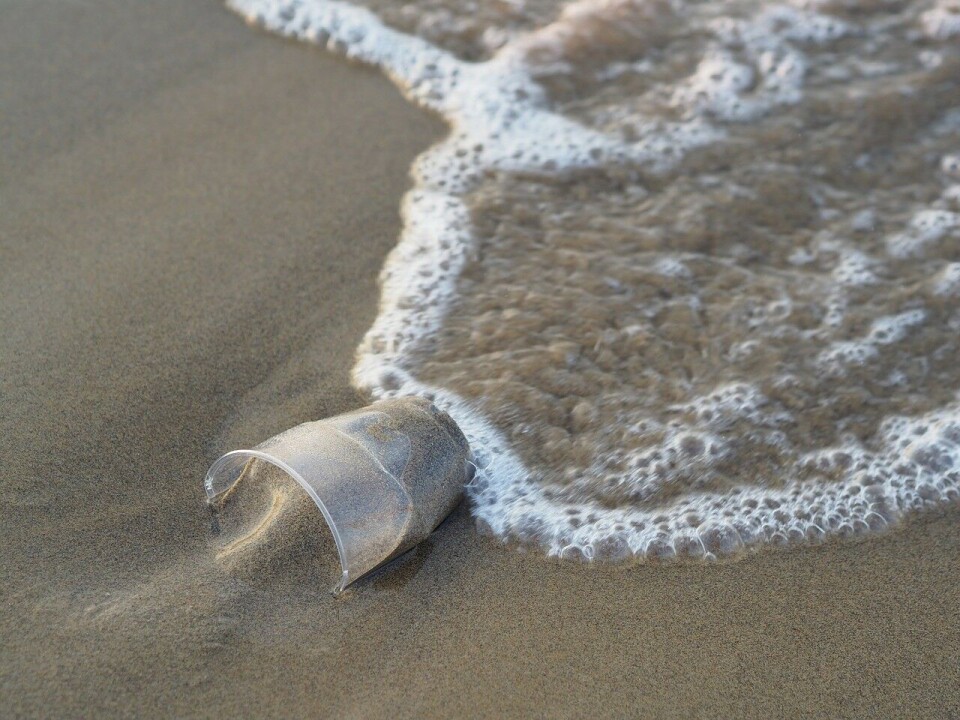 Plastic Oceans es una organización mundial para combatir la contaminación generada por el plástico en el océano. Foto: Pixabay; Video: Plastic Oceans.