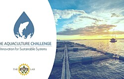 Organizaciones chilenas postulan a ocho cupos en The Global Aquaculture Challenge