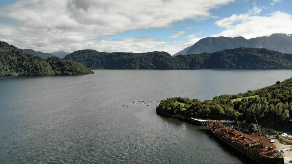 Este es el segundo webinar que realiza el programa de Corfo. Foto: PTI Fiordos y Canales de Aysén de Corfo.