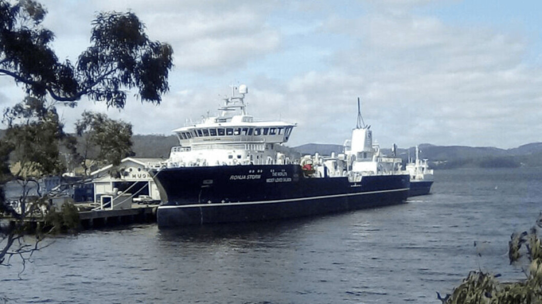 Ronja Storm, en Port Huon, Tasmania, ha establecido lo que se cree es un nuevo récord para un tratamiento de baño en un wellboat. Foto: Huon. Ronja Storm, en Port Huon, Tasmania, ha establecido lo que se cree es un nuevo récord para un tratamiento de baño en un wellboat. Foto: Huon.