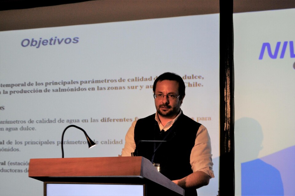Patricio Feest, asistente de investigación en NIVA Chile. Foto: Francisco Soto, Salmonexpert.