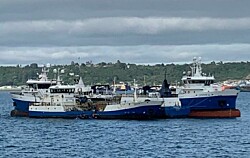 Patagonia Wellboat detiene sus operaciones tras inicio de huelga de trabajadores