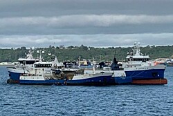 Patagonia Wellboat detiene sus operaciones tras inicio de huelga de trabajadores