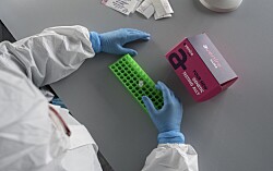 PCR de emprendedores chilenos ya es adoptado por el 70% de las salmonicultoras