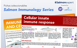 Salmon immunology series: nueva cápsula de video y fichas en inglés