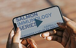 Salmonexpert lanza cápsulas de video educativas sobre inmunología en salmónidos