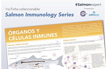 Salmon Immunology Series: nueva serie de fichas técnicas sobre inmunología