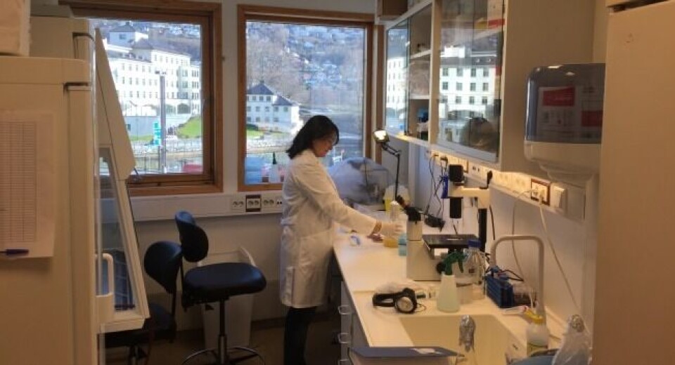 El Centro de Investigación Global de Salud de Peces de Cermaq está ubicado en el Centro de Tecnología de la Universidad de Bergen. Foto: Cermaq.