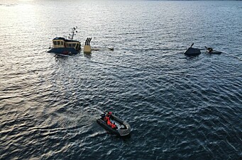 Peces dentro del wellboat que varó en Estrecho de Magallanes ya están muertos
