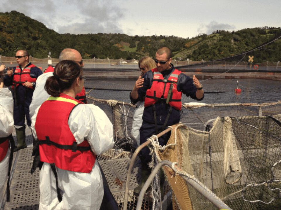 Periodistas extranjeros conocieron la industria del salmón invitados por SalmonChile