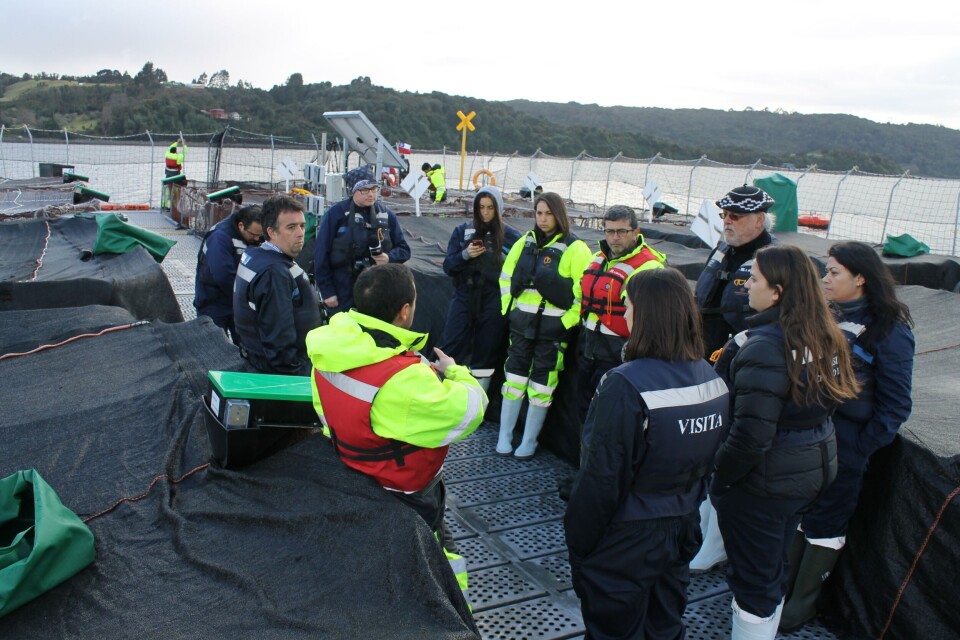 Periodistas de medios nacionales conocieron el ciclo del salmón en Los Lagos