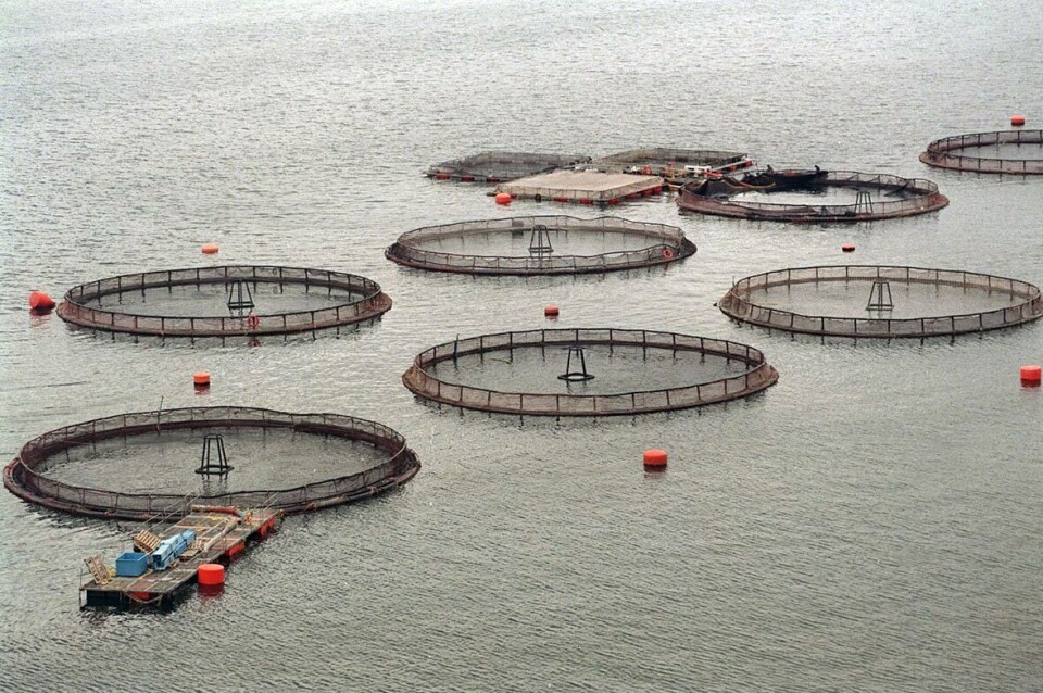 Seremi de Economía aprueba fusión entre Marine Harvest y AquaChile