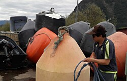 Pescadores artesanales se convierten en proveedores de la salmonicultura