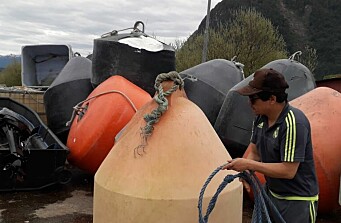 Pescadores artesanales se convierten en proveedores de la salmonicultura