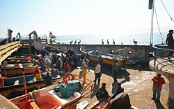 Pescadores de Concón diversificarán su actividad con cultivo de truchas