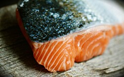Pese al precio, estadounidenses privilegian consumo de salmón