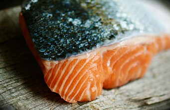 Pese al precio, estadounidenses privilegian consumo de salmón