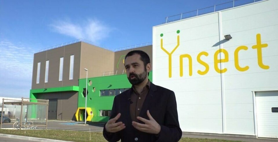 Antoine Hubert, director ejecutivo y jefe de Ÿnsect: la compañía se está convirtiendo en el mayor productor de insectos del mundo. Foto: Ÿnsect.