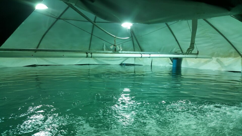 El sistema fue instalado en la isla e Chiloé. Imagen: Philips Lighting.