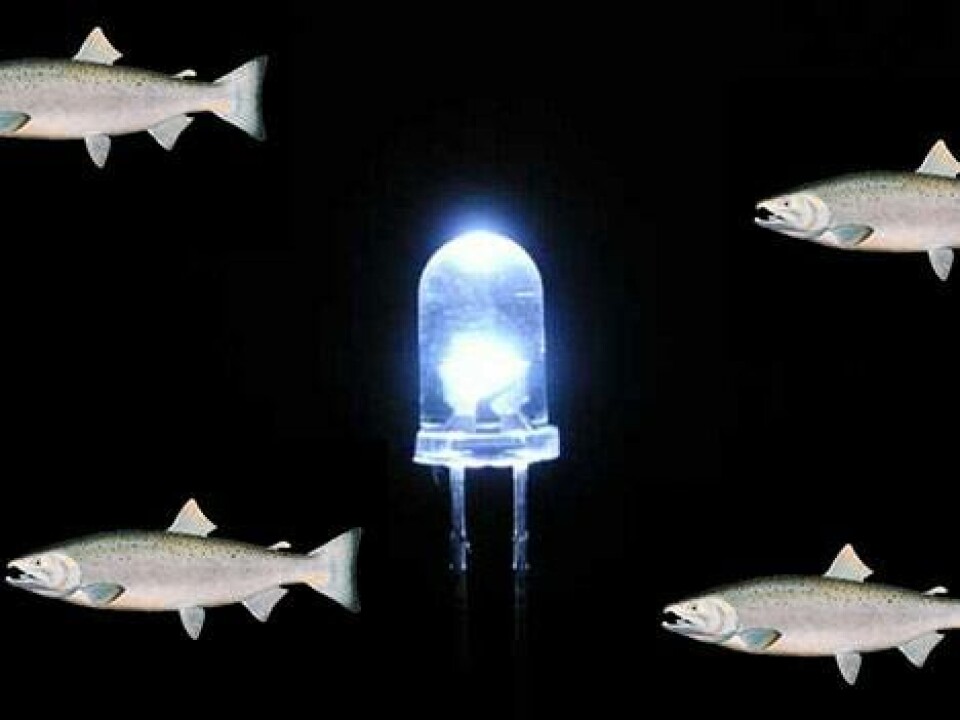 Philips destacó beneficios de iluminación LED para producción de salmón