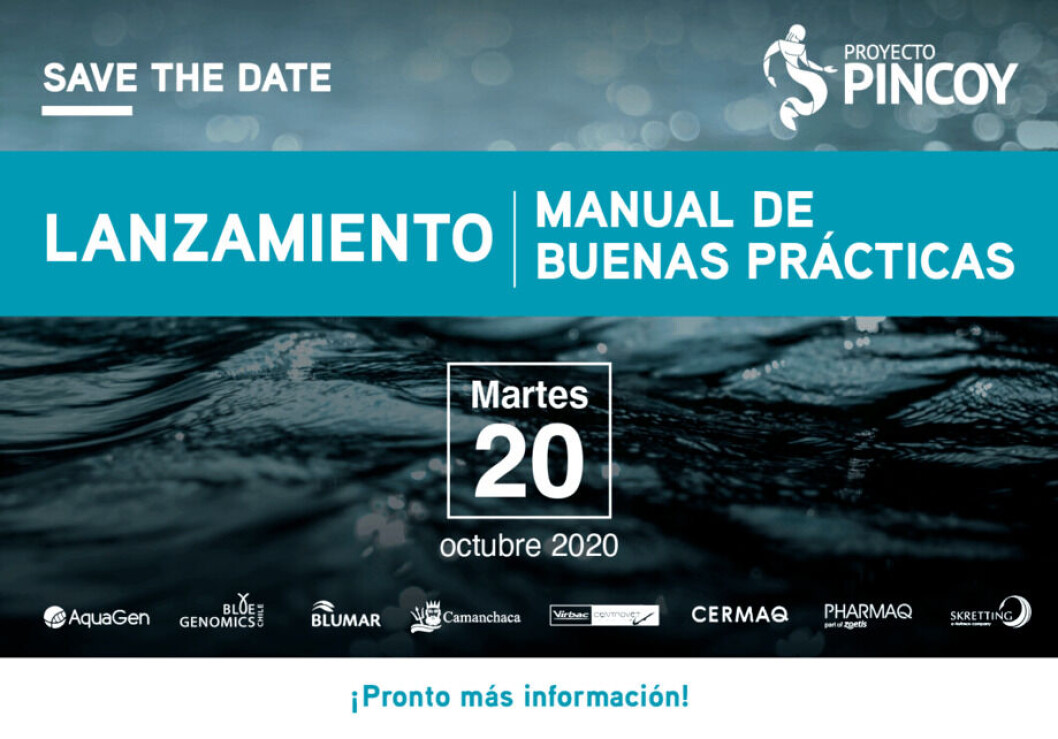 Actividad se realizará el próximo martes 20. Actividad se realizará el próximo martes 20.