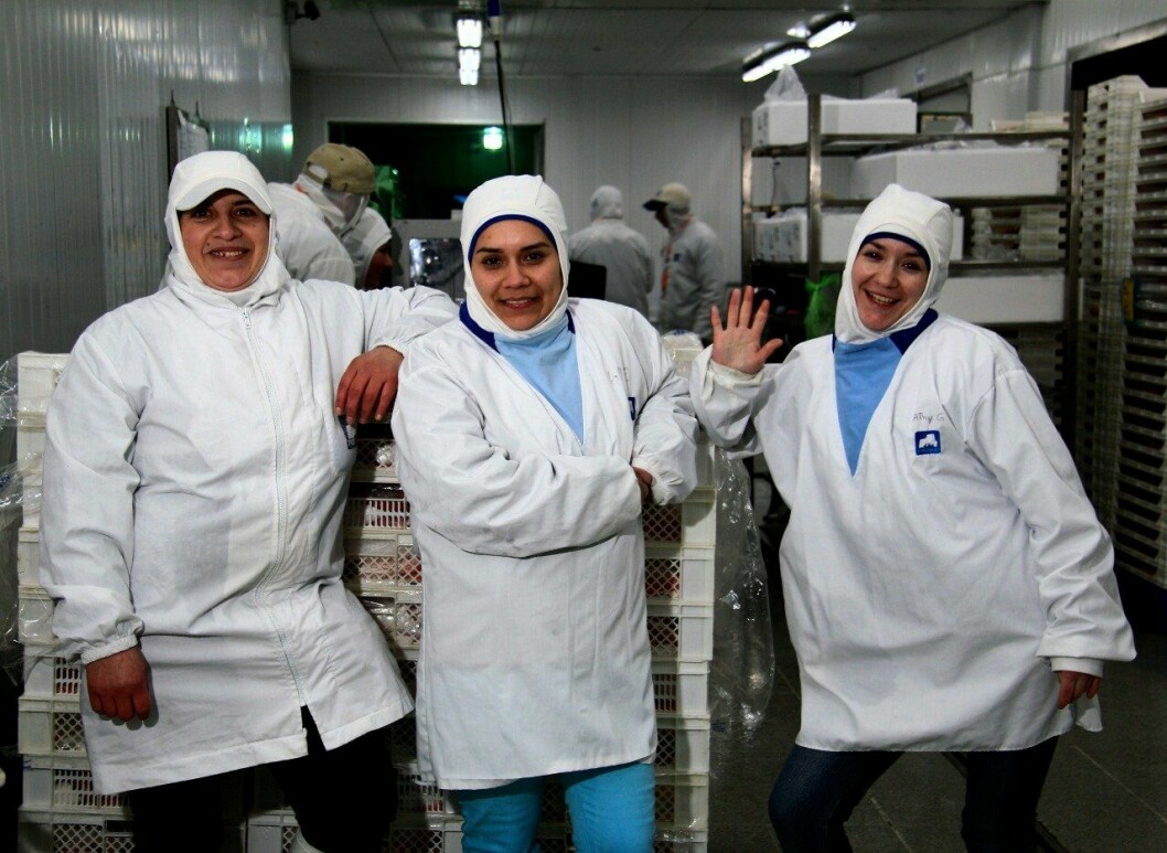 Según cifras del Instituto Nacional de Estadísticas (INE), alrededor del 3% de la fuerza laboral de la industria del salmón de Chile está compuesta por mujeres. Imagen: SalmonChile.