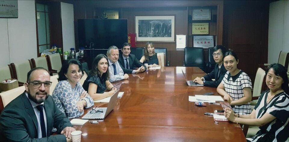 Rolando Ibarra es el nuevo jefe de Food Safety & Comex de SalmonChile. Foto: SalmonChile.