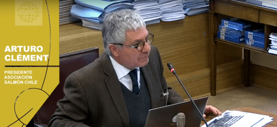 Arturo Clément, presidente de SalmonChile, exponiendo en el Congreso. Foto: TV Senado.