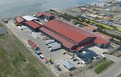 Planta salmonicultora busca casi triplicar su capacidad de proceso en Punta Arenas