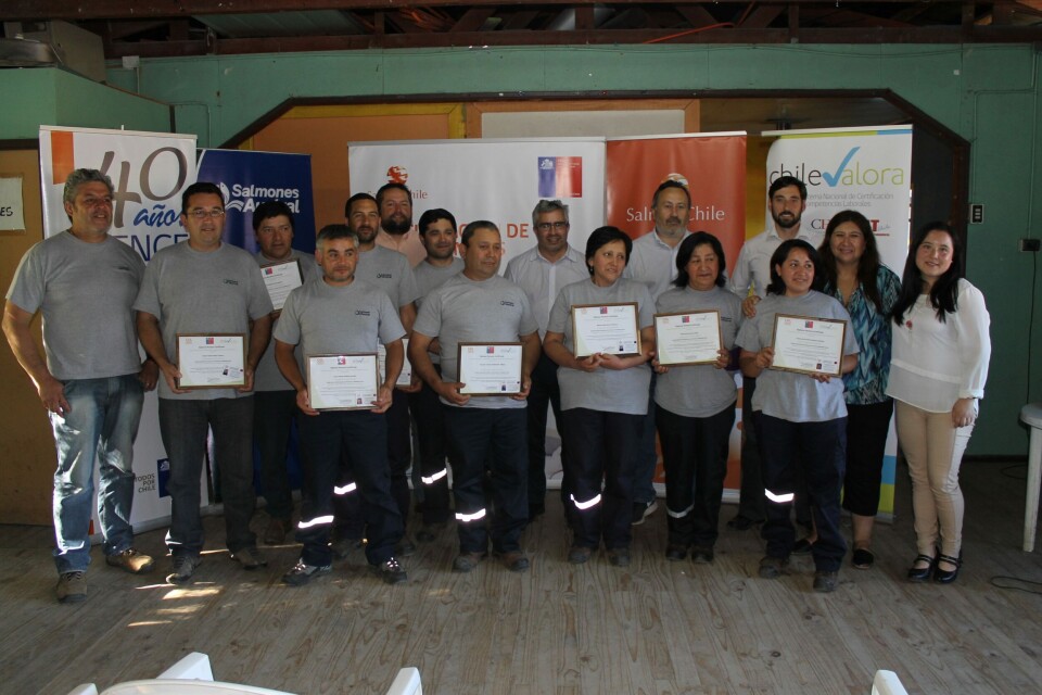 Certificación de trabajadores de Australis. Foto: Salmonchile.