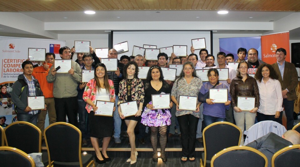 Certificación de trabajadores de Multiexport. Foto: Salmonchile.