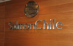 SalmonChile suspende participación de empresas productoras de alimentos