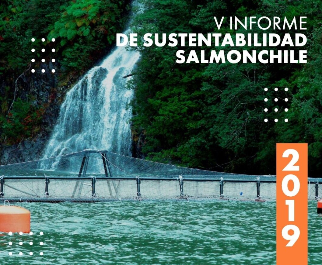 Indicadores sociales y productivos se encuentran en el último reporte lanzado por SalmonChile. Indicadores sociales y productivos se encuentran en el último reporte lanzado por SalmonChile.