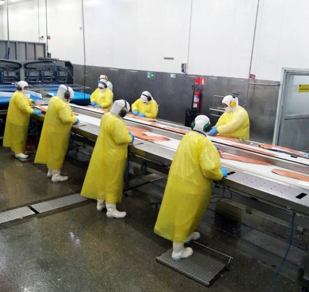 Planta de Salmones Austral en Quellón. Foto: Salmones Austral. Planta de Salmones Austral en Quellón. Foto: Salmones Austral.