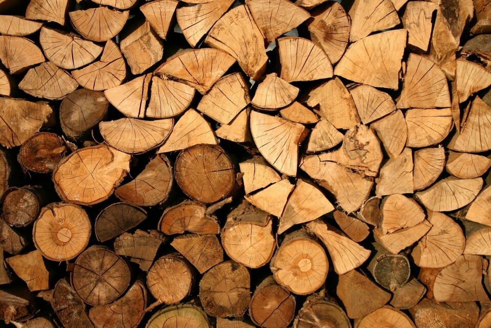 Imagen referencial de madera. Foto: Pixabay.
