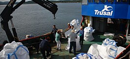 Salmones Austral y comunidad recolectan 30 toneladas de desechos