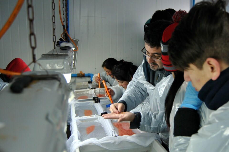 'Puertas Abiertas' a Escuela Mario Pérez. Foto: Salmones Camanchaca.