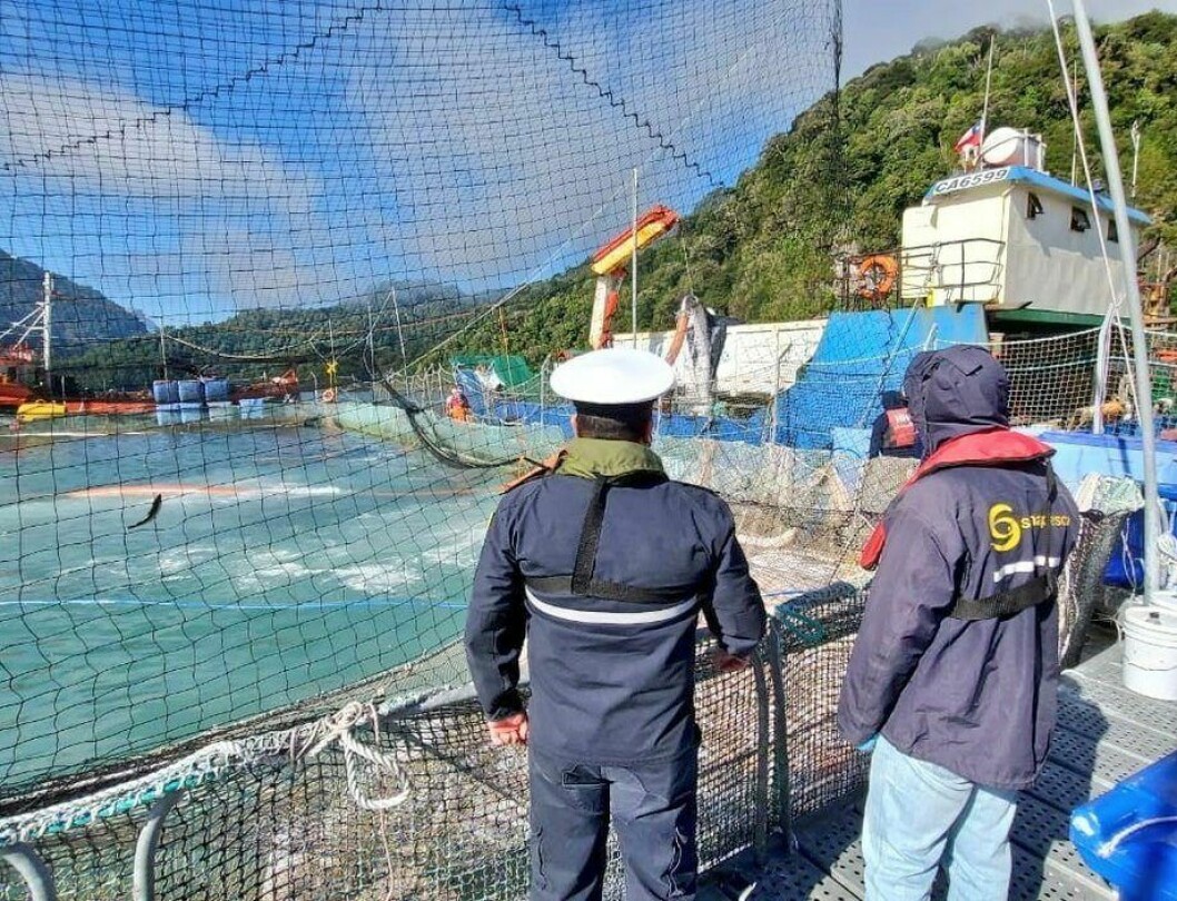 Fiscalización de Sernapesca a centros de salmón afectados por eventos FAN. Foto: Sernapesca.