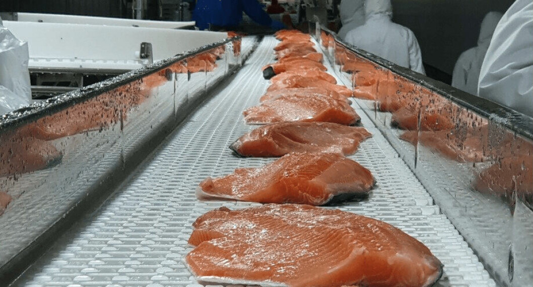 Imagen referencial de planta de proceso de salmón. Foto: Archivo Salmonexpert.