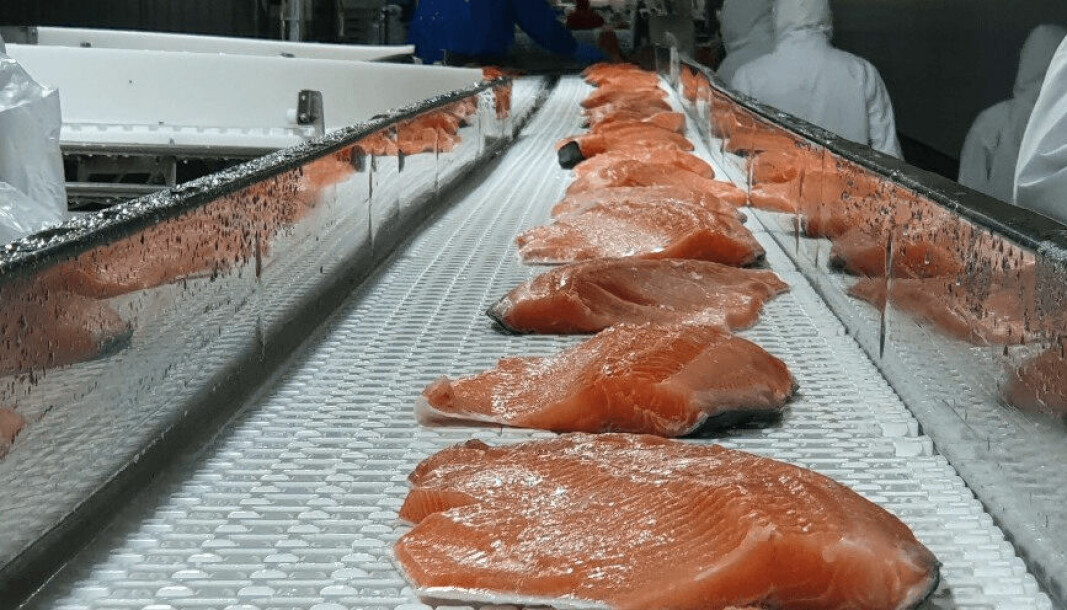 Imagen referencial de planta de proceso de salmón.