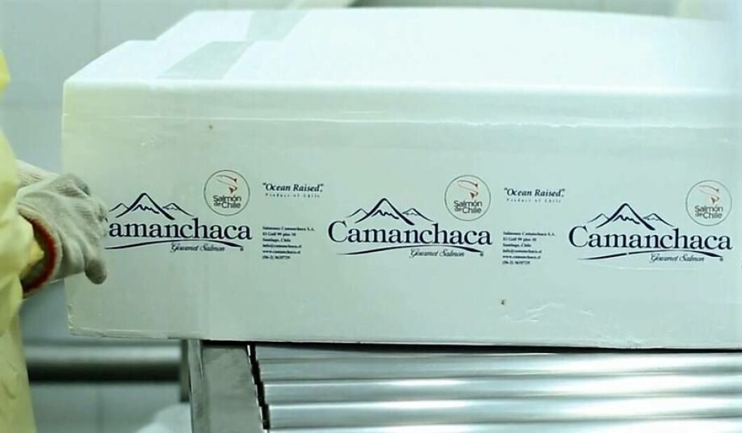 La compañía cosechó 15.801 toneladas de salmón Atlántico en el cuarto trimestre de 2020. Foto: Archivo Salmonexpert. La compañía cosechó 15.801 toneladas de salmón Atlántico en el cuarto trimestre de 2020. Foto: Archivo Salmonexpert.