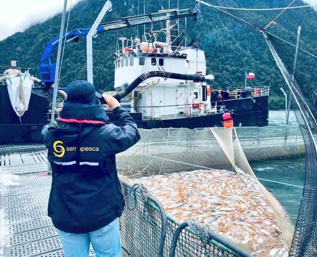 Fiscalización de Sernapesca a centros de salmón afectados por eventos ambientales. Foto: Sernapesca. Fiscalización de Sernapesca a centros de salmón afectados por eventos ambientales. Foto: Sernapesca.