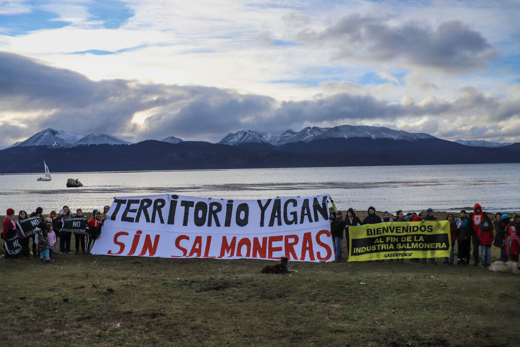 Crédito de la foto: Greenpeace. Crédito de la foto: Greenpeace.
